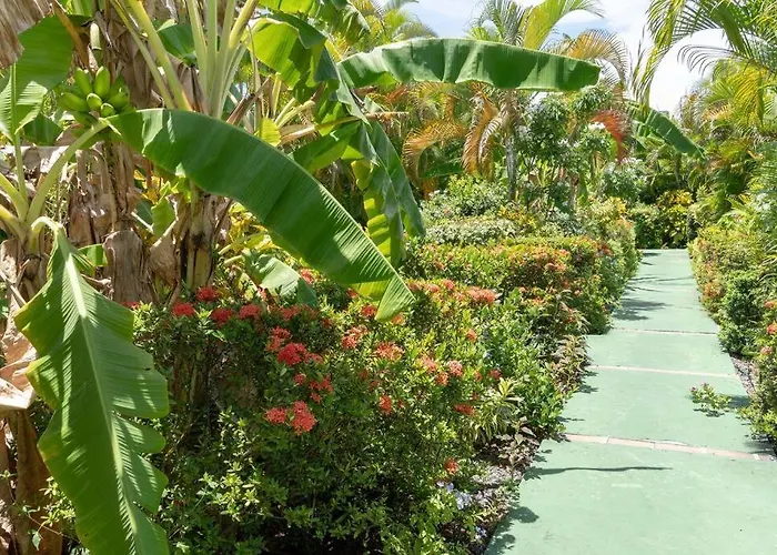 Perle Des Caraibes , Bungalow Moderne N° 14